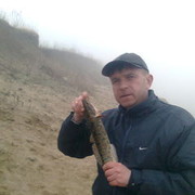   ,   , 51 ,  