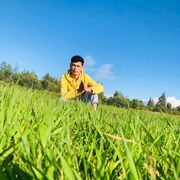 ���������� �����-���������, ���� ����� �����, 25 ���, ������������ ��� ������, ����� � ���������