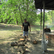 ���������� ����������, ���� ������� ���������, 45 ���, ������������ ��� ������, ����� � ���������, c�������� ���������