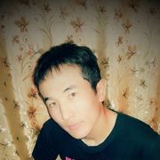  -,   87712055219, 33 ,   ,   , c 