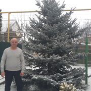  ,   C, 66 ,   ,   , c 