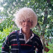  ,   , 53 ,   c 