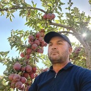 ���������� �����������, ���� ������� ����, 48 ���, ������������ ��� ������, ����� � ���������