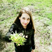  -,   , 27 ,   ,   , c 