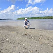 ���������� ���������, ���� ������� ����, 32 ����, ������������ ��� ������, ����� � ���������, c�������� ���������