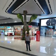  ,   , 60 ,   ,   , c 