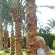 ������!!!15.12.2015�....