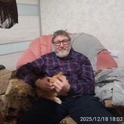 ���������� ��������, ���� ������� Nufnufnu, 55 ���, ������������ ��� ������, ����� � ���������, c�������� ���������