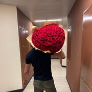 ���������� �����-���������, ���� ������� ����, 34 ����, ������������ ��� ������, ����� � ���������