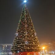 ���������� �������, ���� ������� �����, 48 ���, ������������ ��� c�������� ���������