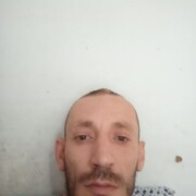 ���������� ���������, ������� ����, 37