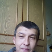  -,   , 41 ,   