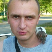 ,   , 37 ,  