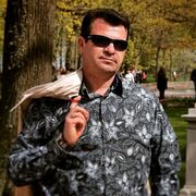 ���������� �����, ���� ������� �������, 56 ���, ������������ ��� c�������� ���������