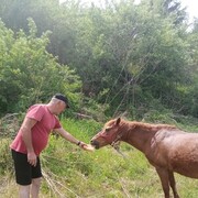  Backa Topola,   , 52 ,   ,   , c 