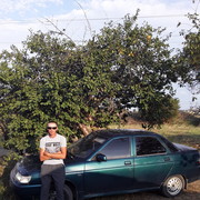  ,   , 41 ,   ,   , c 