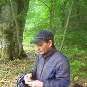 ,   , 51 ,   