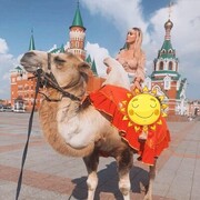  -,   , 29 ,   