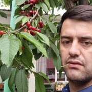 ���������� ����-���������, ���� ������� ����� ����, 41 ���, ������������ ��� ������, ����� � ���������