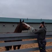 ���������� ������������, ���� ������� Xabin, 34 ����, ������������ ��� ������, ����� � ���������