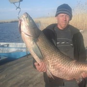 ���������� ������, ���� ������� �������, 38 ���, ������������ ��� ������, ����� � ���������, c�������� ���������, ���������