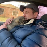 ���������� ����������, ���� ������� �������, 41 ���, ������������ ��� ������, ����� � ���������