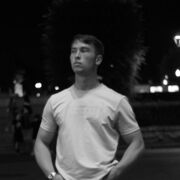 ���������� ����� �������, ������ Danyastylei, 19