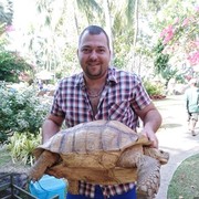  ,   , 43 ,  