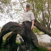 ���������� �����-���������, ���� ������� Molnik, 68 ���, ������������ 