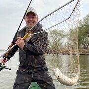 ���������� �����-���������, ���� ������� ��������, 52 ����, ������������ ��� ������, ����� � ���������, c�������� ���������