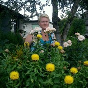 ���������� ��������, ���� ������� �������, 49 ���, ������������ ��� ������, ����� � ���������, c�������� ���������