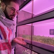 ���������� ������, ���� ������� �����, 33 ����, ������������ ��� ������, ����� � ���������