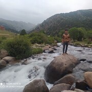 ���������� �������, ���� ������� ��������, 33 ����, ������������ ��� ������, ����� � ���������, c�������� ���������