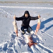 ���������� ���������, ���� ������� ���������, 29 ���, ������������ ��� ������, ����� � ���������, c�������� ���������