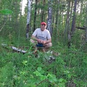 ���������� ����������, ���� ������� ��������, 55 ���, ������������ ��� ������, c�������� ���������