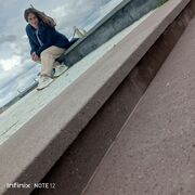 ���������� ����������, �����