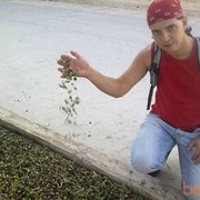 ���������� ������ ���, ���� ������� ������, 41 ���, ������������ ��� ������