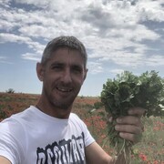 ���������� ������, ���� ������� �����, 45 ���, ������������ 