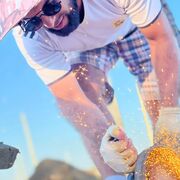 ���������� �������, ���� ������� ���������, 33 ����, ������������ ��� ������, ����� � ���������