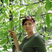  ,   , 60 ,   ,   , c 