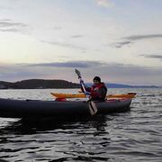 ���������� �������������-����������, ���� ������� �������, 48 ���, ������������ ��� ����� � ���������, c�������� ���������