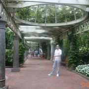 ���������� �����, ���� ������� Stilyan, 40 ���, ������������ ��� ������, ����� � ���������, c�������� ���������