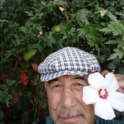  ,   , 61 ,   ,   , c 