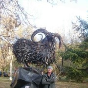  -,   , 52 ,  