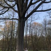  ,   Yana, 43 ,   ,   , c 
