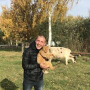 ���������� �����-���������, ���� ������� ������, 41 ���, ������������ ��� ������, ���������