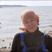  -,   , 51 ,     , c , 