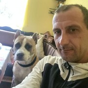 ���������� ������-��-����, ���� ������� �����Stereo, 43 ����, ������������ ��� c�������� ���������