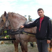  ,   , 51 ,   ,   , c 