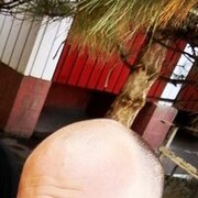  ,   , 38 ,   ,   , c , 